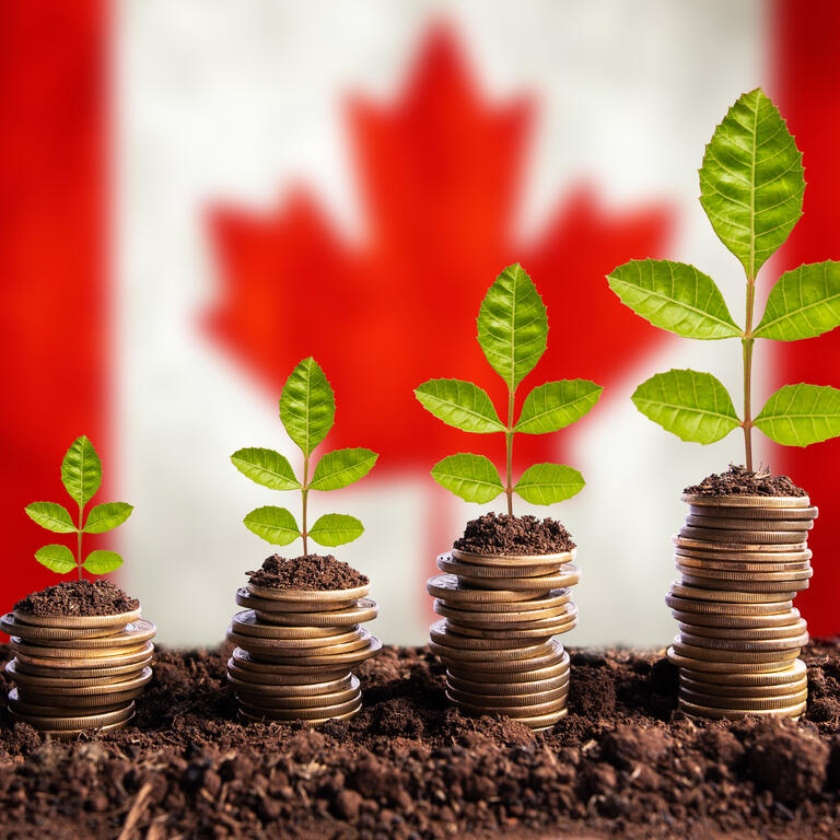 Bank of Nova Scotia expects Bank of Canada to tighten to tame inflation - Bloomberg