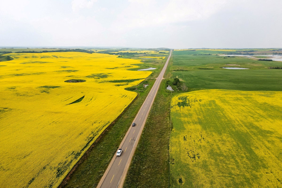 Canada is an agriculture and food superpower. We must start acting like it